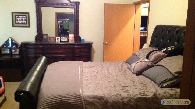Master Bedroom with walk-in closet