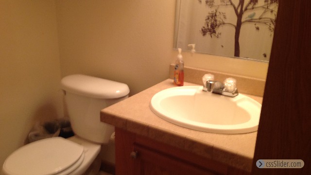 Main Bath