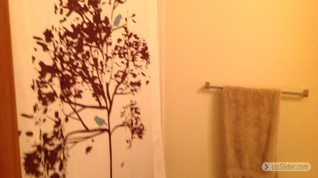 Main Bath
